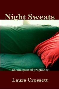 Night Sweats: An Unexpected Pregnancy, cover featuring an old sofa